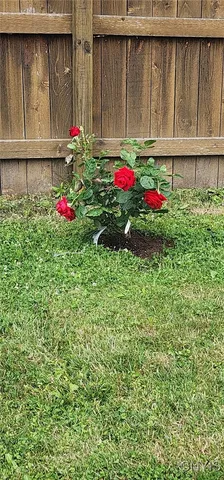 $137,500 | 29 Belmont Avenue, Auburn, NY 13021