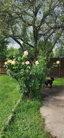 $137,500 | 29 Belmont Avenue, Auburn, NY 13021