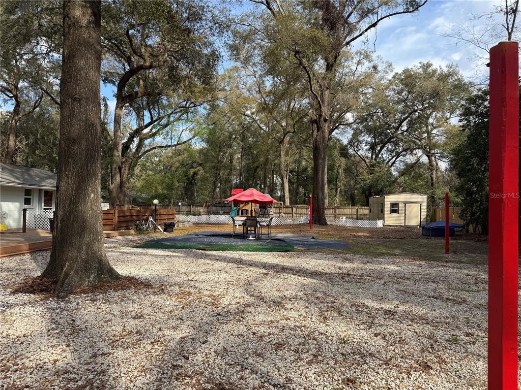7713 Southwest 8th Avenue Gainesville, FL 32607 - Photo 24 of 32 a small view of a yard with a tree