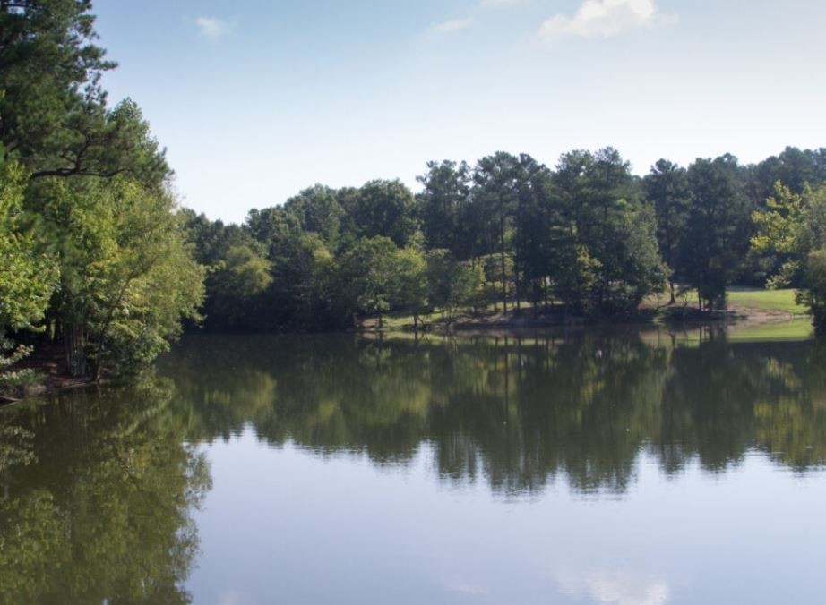 7159 Mapleside Lane Fairview, TN 37062 - Photo 33 of 38 a view of lake