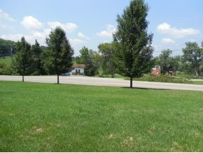 2124 Baileyton Road Greeneville, TN 37745 - Photo 3 of 8 Photo 3