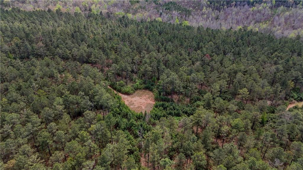 0 Cross Plains Hulett Road Carrollton, GA 30116 - Photo 10 of 11
