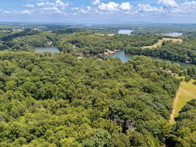 a view of a bunch of trees and bushes