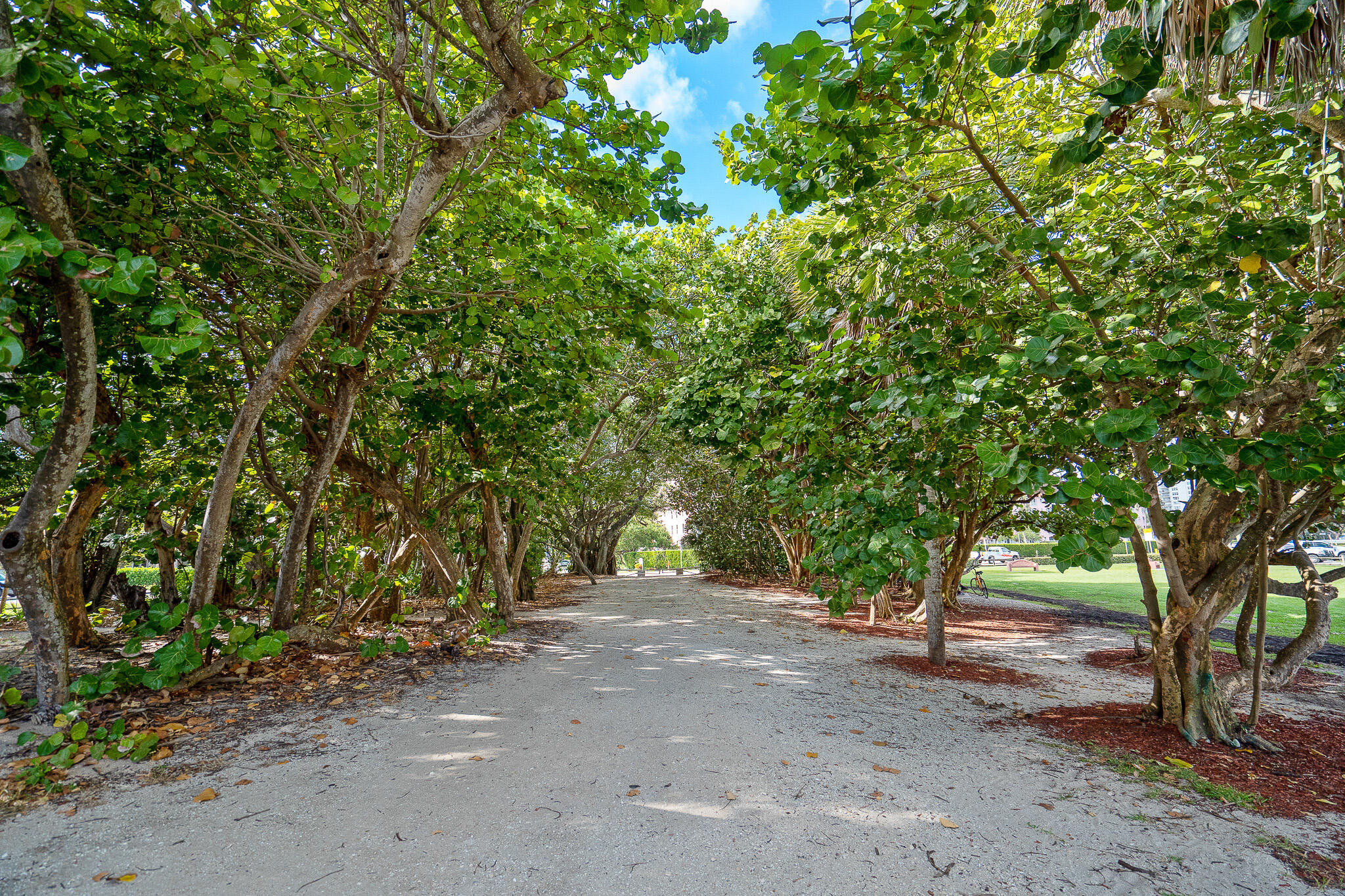 950 Ponce De Leon Road, Unit 3120 Boca Raton, FL 33432 - Photo 46 of 49 DSC02707