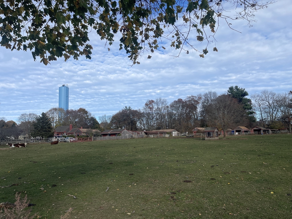 1789 Broadway Raynham, MA 02767 - Photo 11 of 17 a backyard of a house with lots of green space