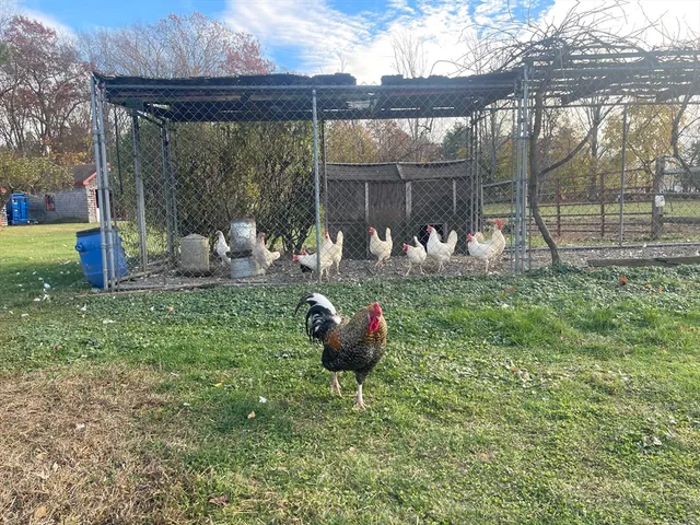 a view of a chair and table in backyard of the house