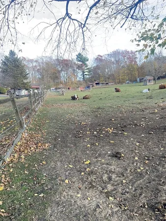 a view of outdoor space with green space