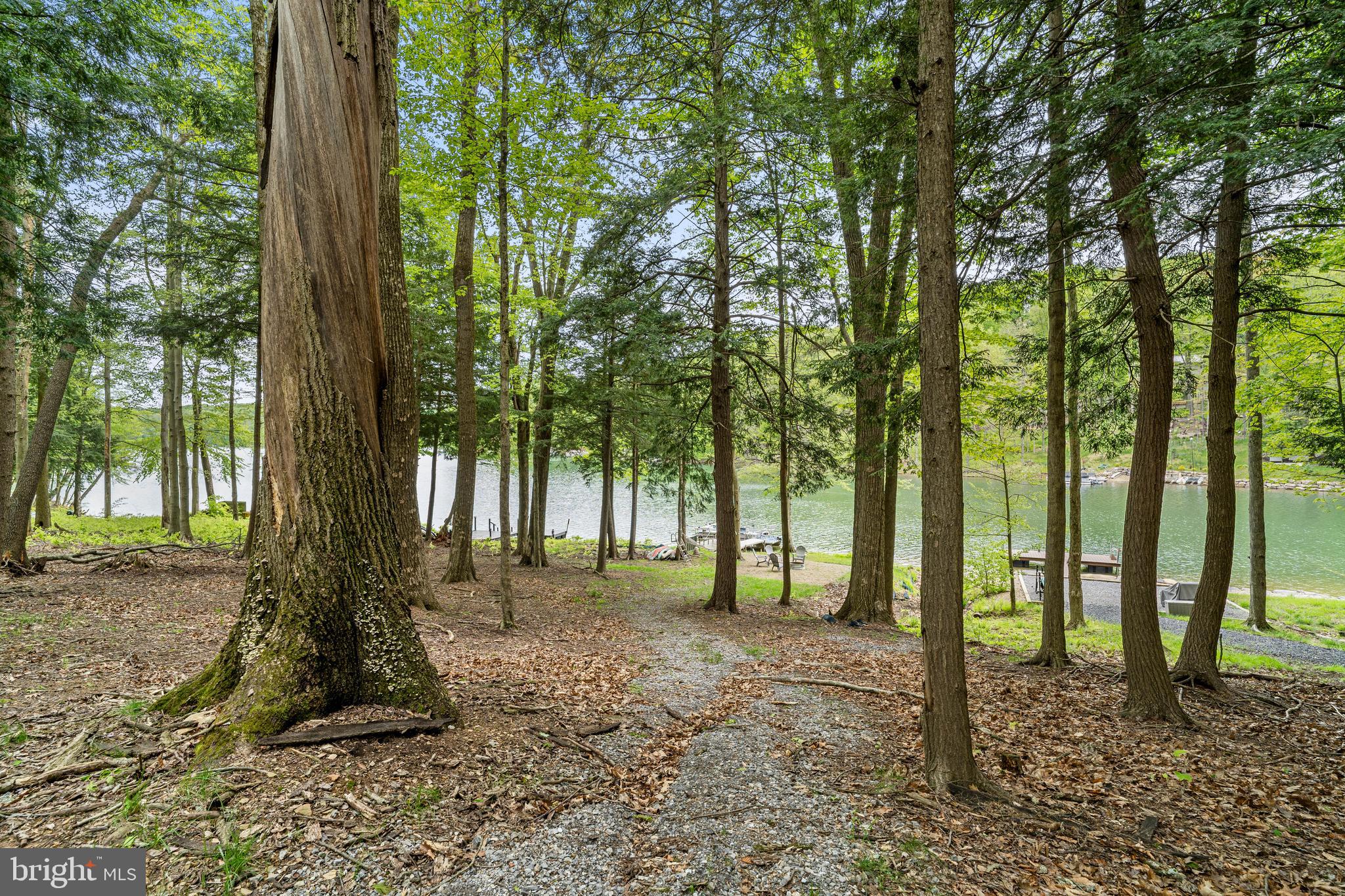2645 Carribean Road Du Bois, PA 15801 - Photo 47 of 55 a view of outdoor space with trees