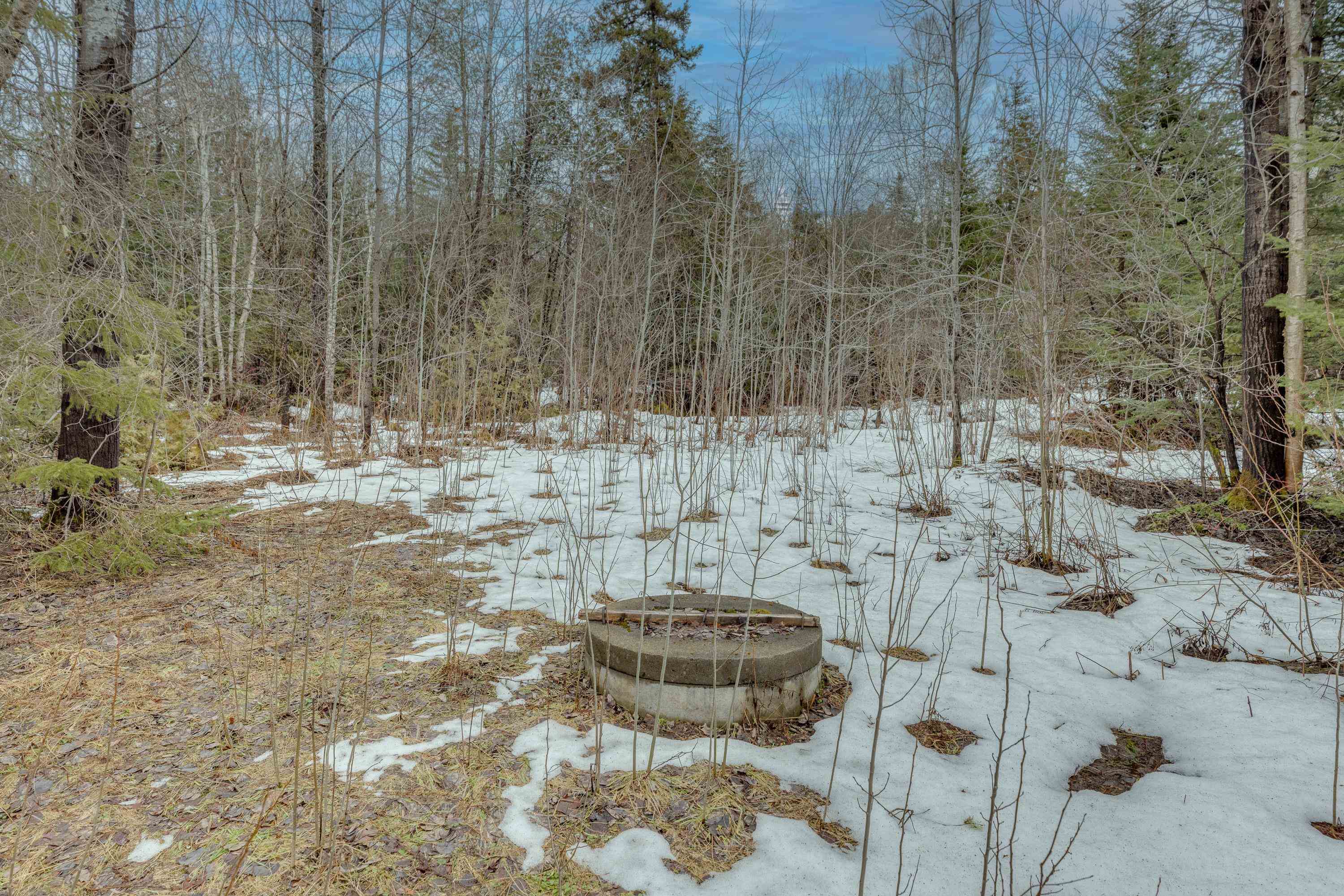 694 Summerhill Road Walden, VT 05843 - Photo 4 of 24 Gallery Image 4