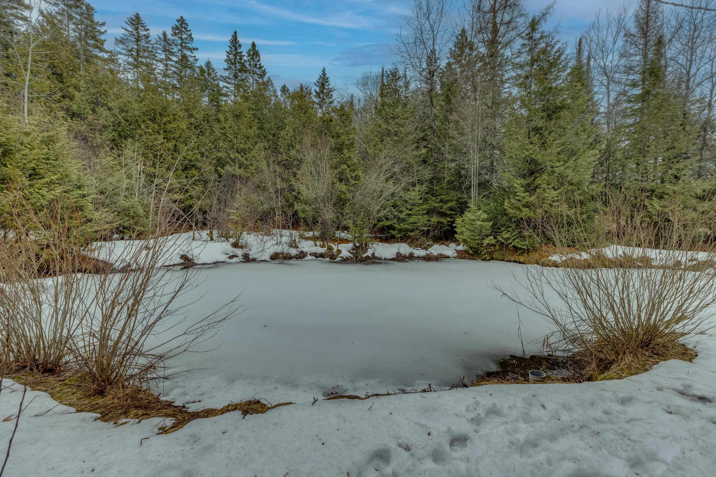 694 Summerhill Road Walden, VT 05843 - Photo 5 of 24 Gallery Image 5