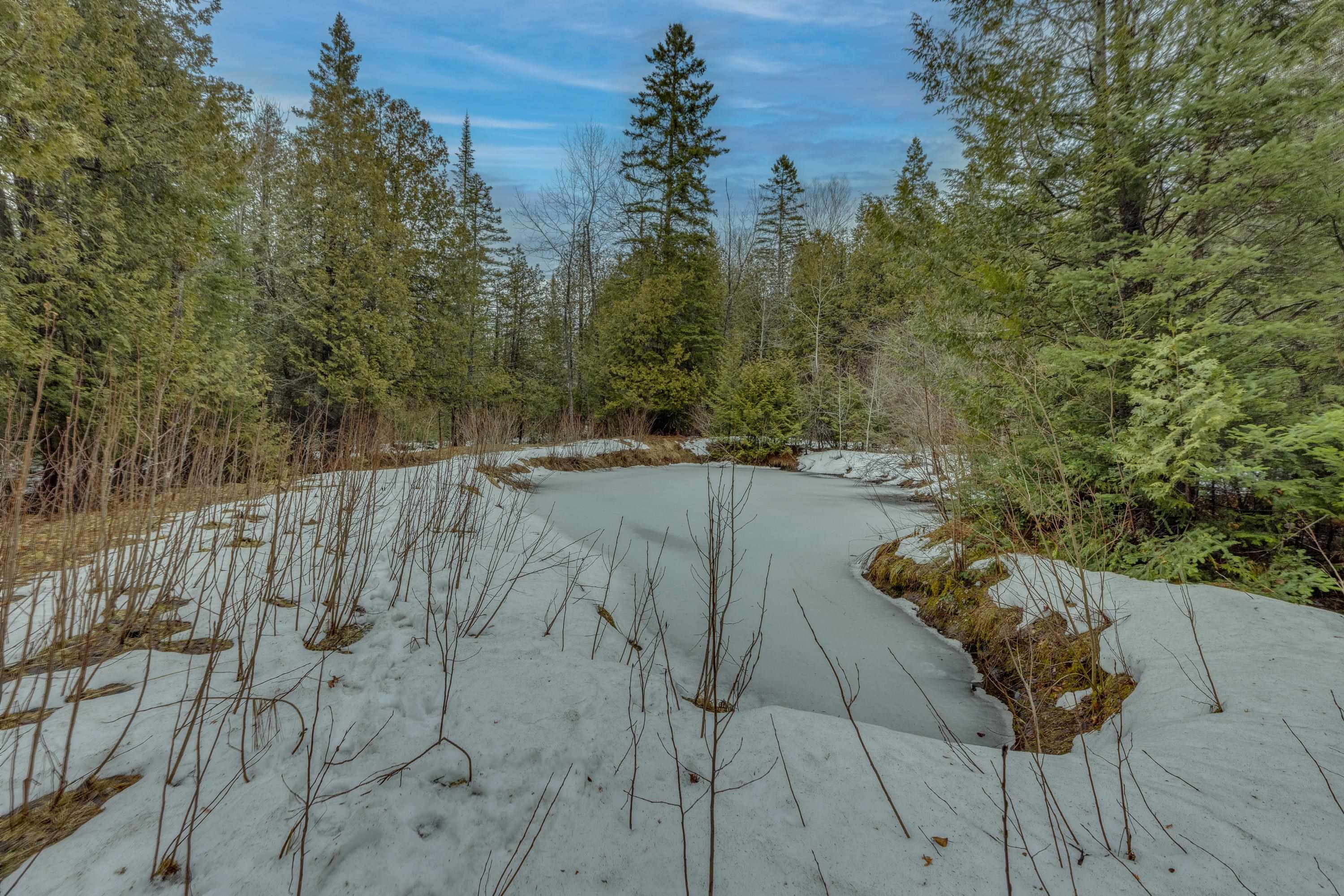 694 Summerhill Road Walden, VT 05843 - Photo 6 of 24 Gallery Image 6