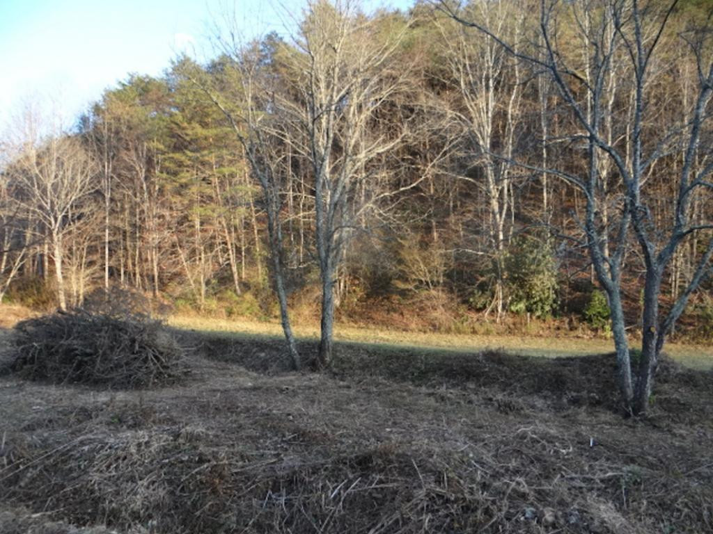 0 Poor Valley Road Saltville, VA 24370 - Photo 1 of 10 Photo 1