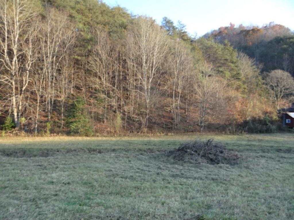 0 Poor Valley Road Saltville, VA 24370 - Photo 3 of 10 Photo 3