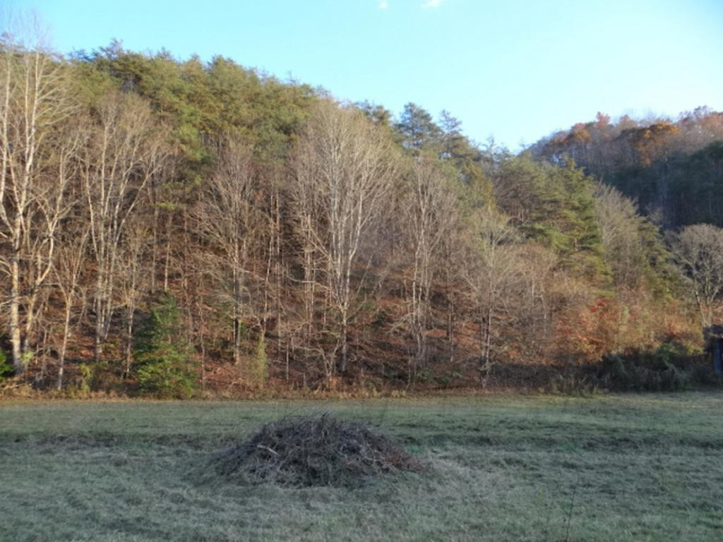 0 Poor Valley Road Saltville, VA 24370 - Photo 4 of 10 Photo 4