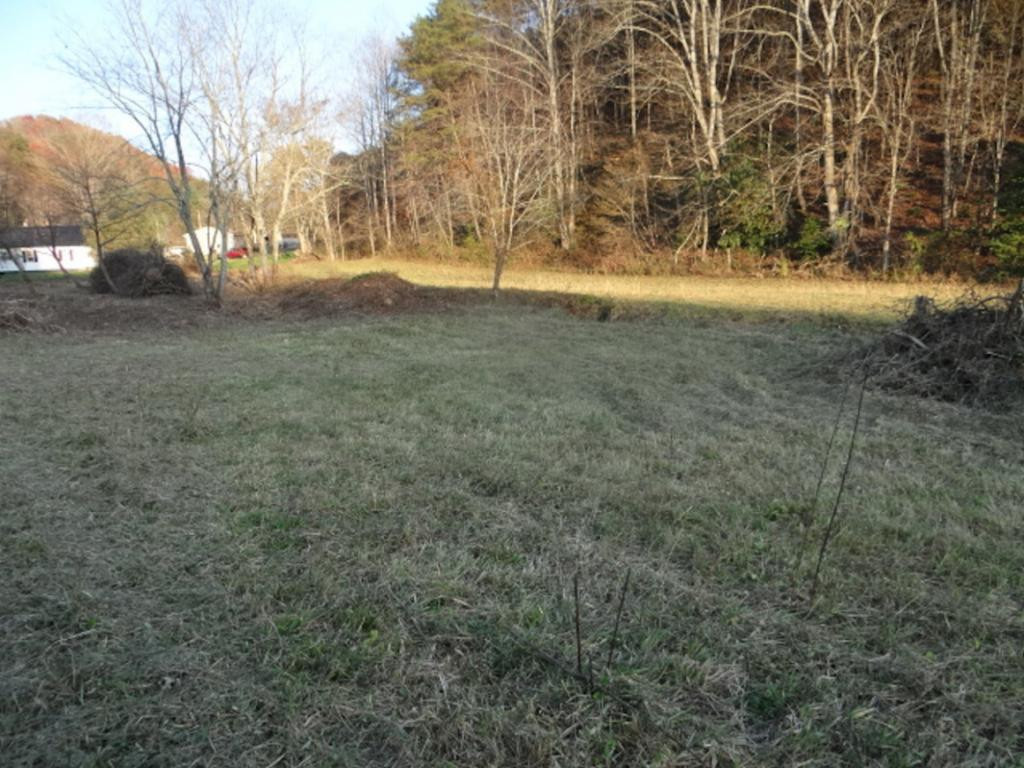 0 Poor Valley Road Saltville, VA 24370 - Photo 8 of 10 Photo 8