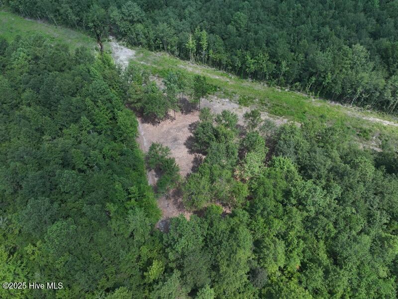 Lot #2 Pope's Crossing Lumberton, NC