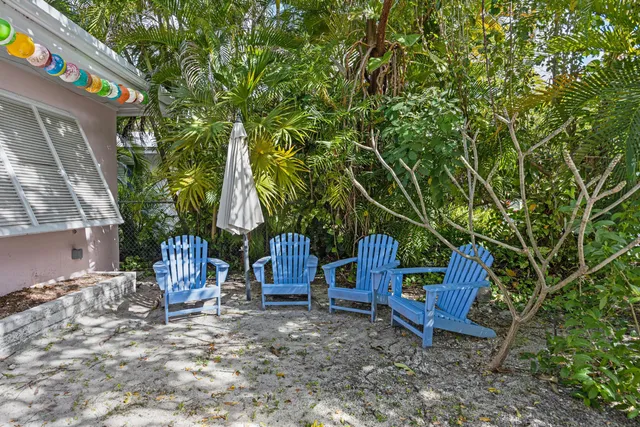 a view of a back yard