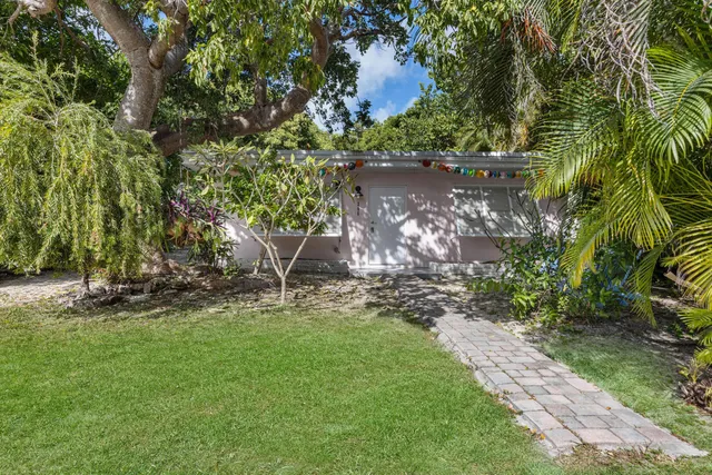 a view of a yard with plants and large trees
