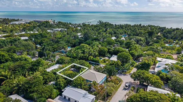 a view of a lake with a tree