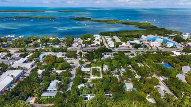 an aerial view of a house with a yard and lake view