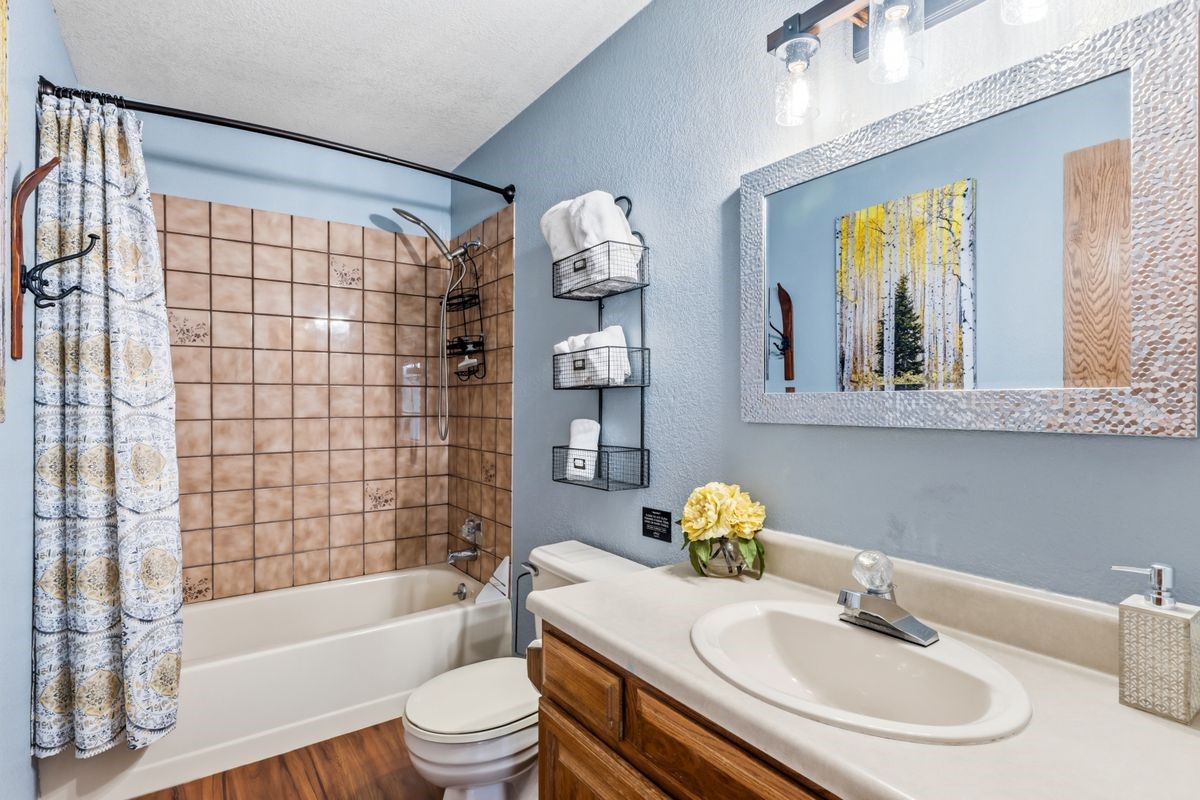 89410 Ryan Gulch Road, Unit 208 Silverthorne, CO 80498 - Photo 4 of 30 a bathroom with a sink a toilet and shower