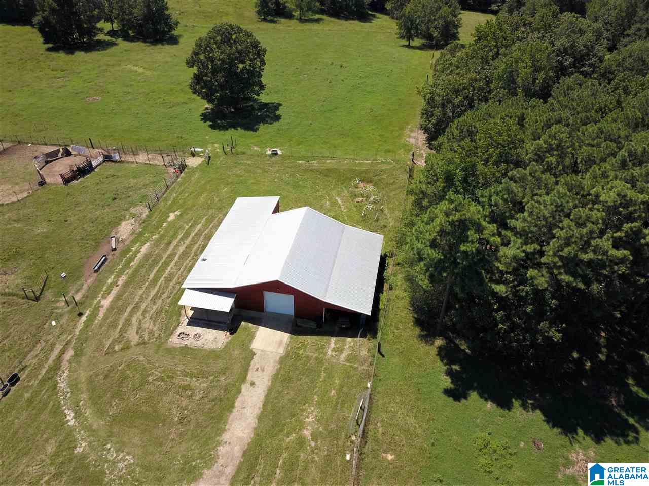 5425 East Mill Road Lineville, AL 36266 - Photo 48 of 50