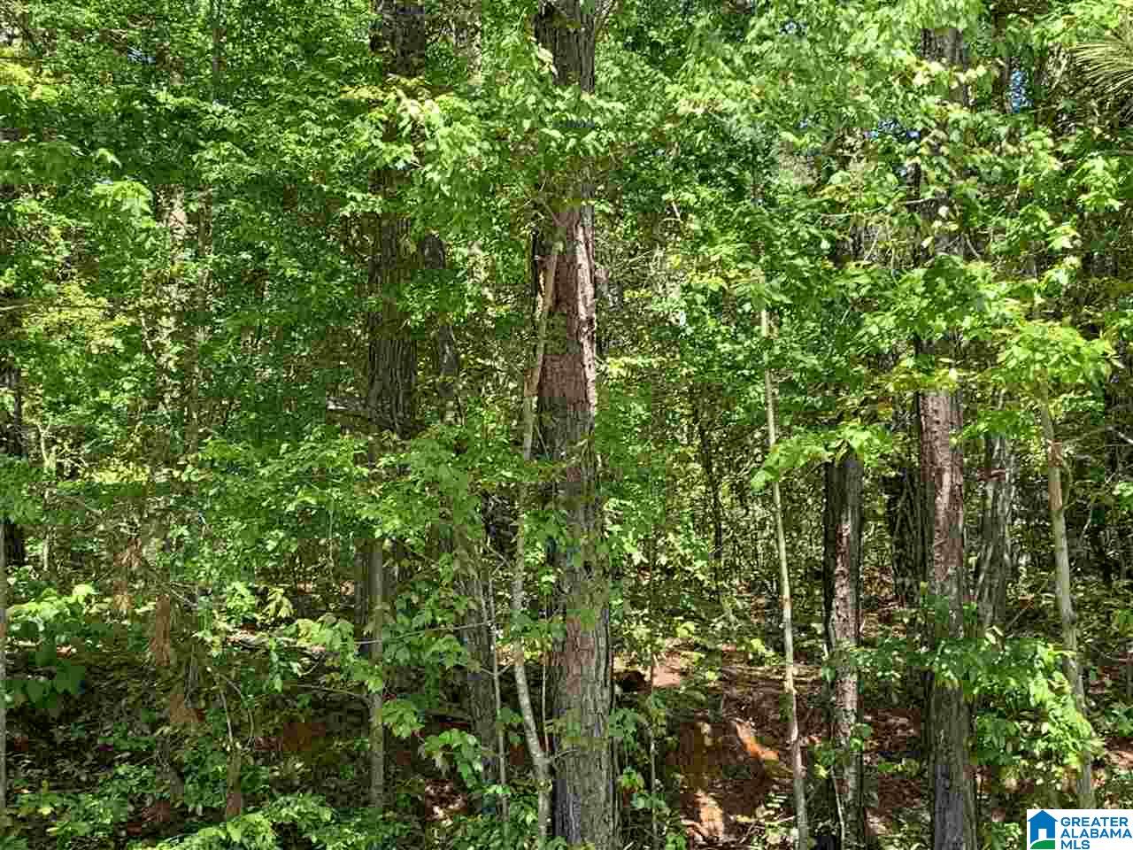 701 Mountain View Road, Unit 1 Talladega, AL 35160 - Photo 2 of 3