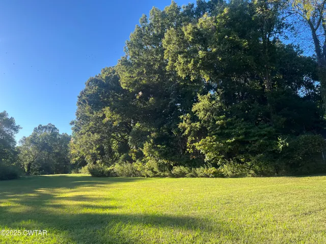 a view of a yard with a house