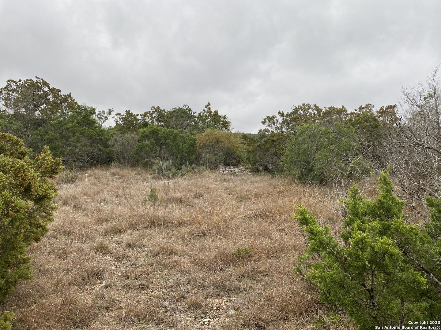 1595 Rim Rock Road Camp Wood, TX 78833 - Photo 2 of 10