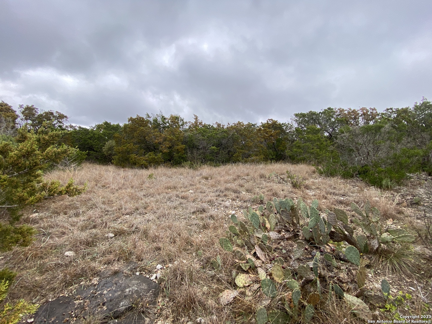 1595 Rim Rock Road Camp Wood, TX 78833 - Photo 7 of 10