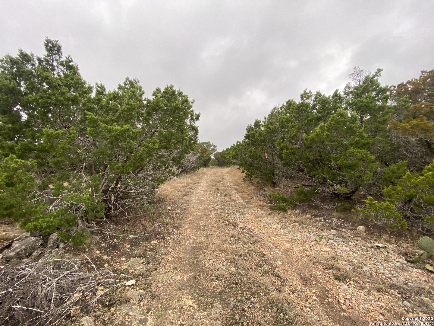 1595 Rim Rock Road Camp Wood, TX 78833 - Photo 9 of 10