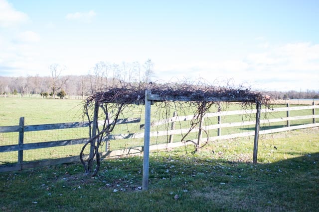 604 North River Road Mount Solon, VA 22843 - Photo 28 of 30 a view of a yard with an ocean view