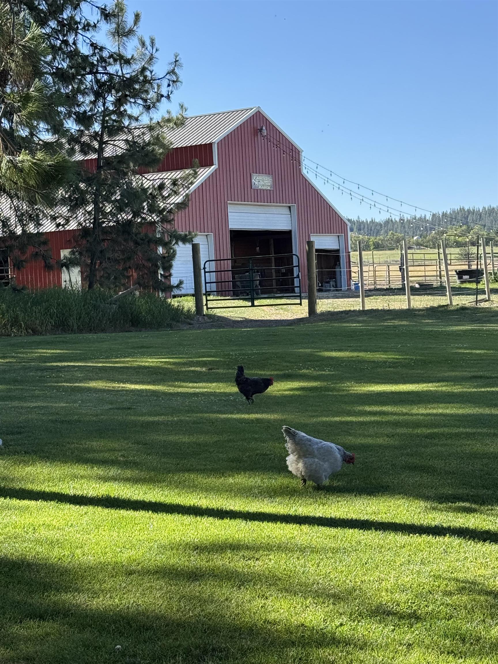 21411 North Spotted Road Deer Park, WA 99006 - Photo 39 of 50