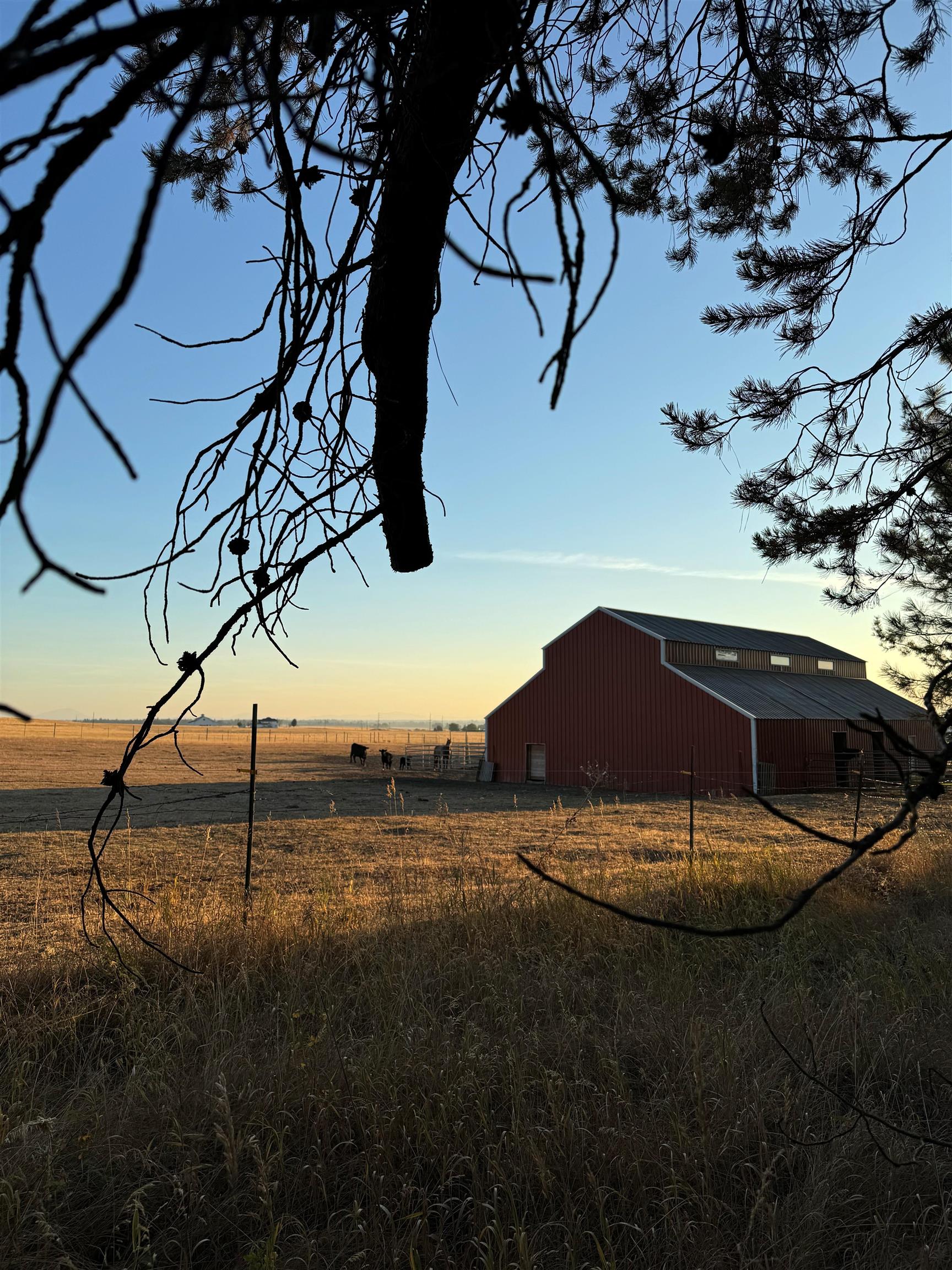 21411 North Spotted Road Deer Park, WA 99006 - Photo 45 of 50