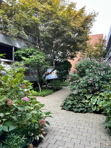 a view of a house with a yard and plants