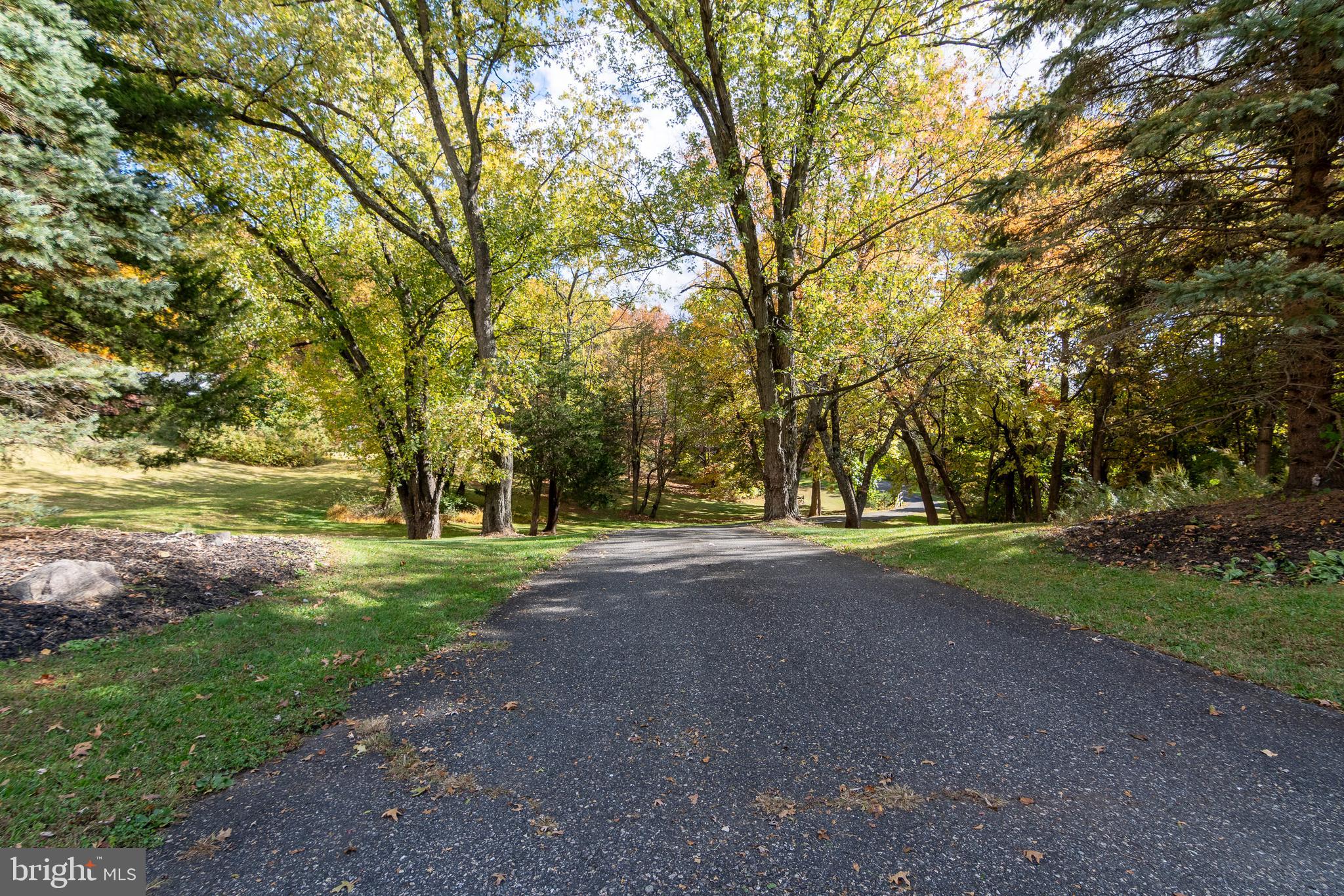 9 Wayside Lane Lebanon, NJ 08833 - Photo 4 of 41 Beautiful Winding Driveway
