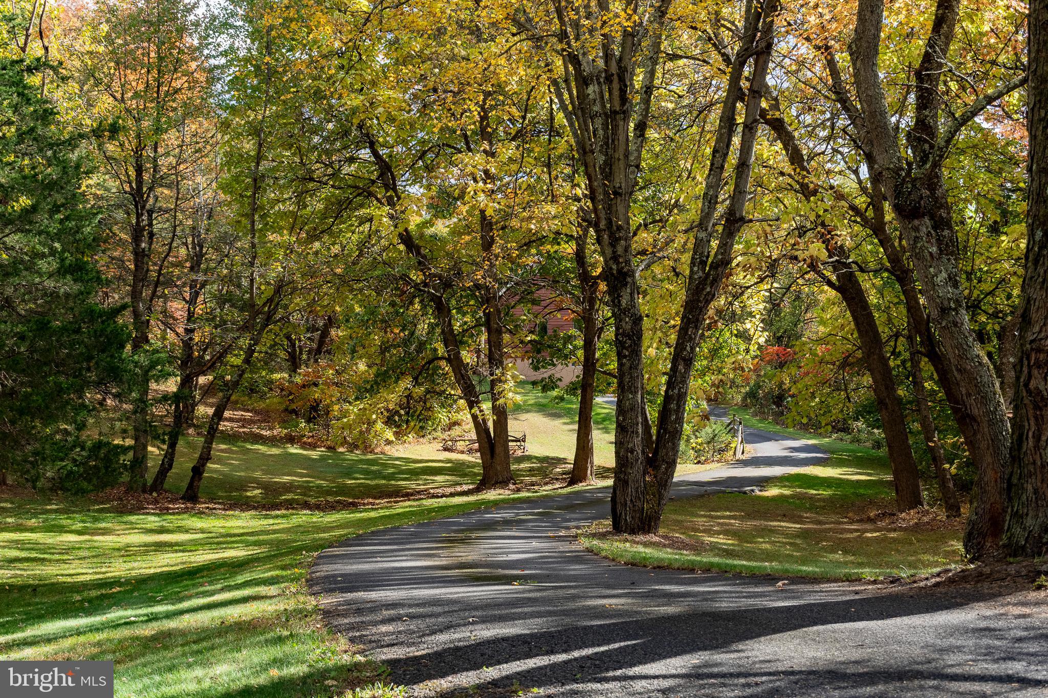 9 Wayside Lane Lebanon, NJ 08833 - Photo 5 of 41 Park-Like Setting