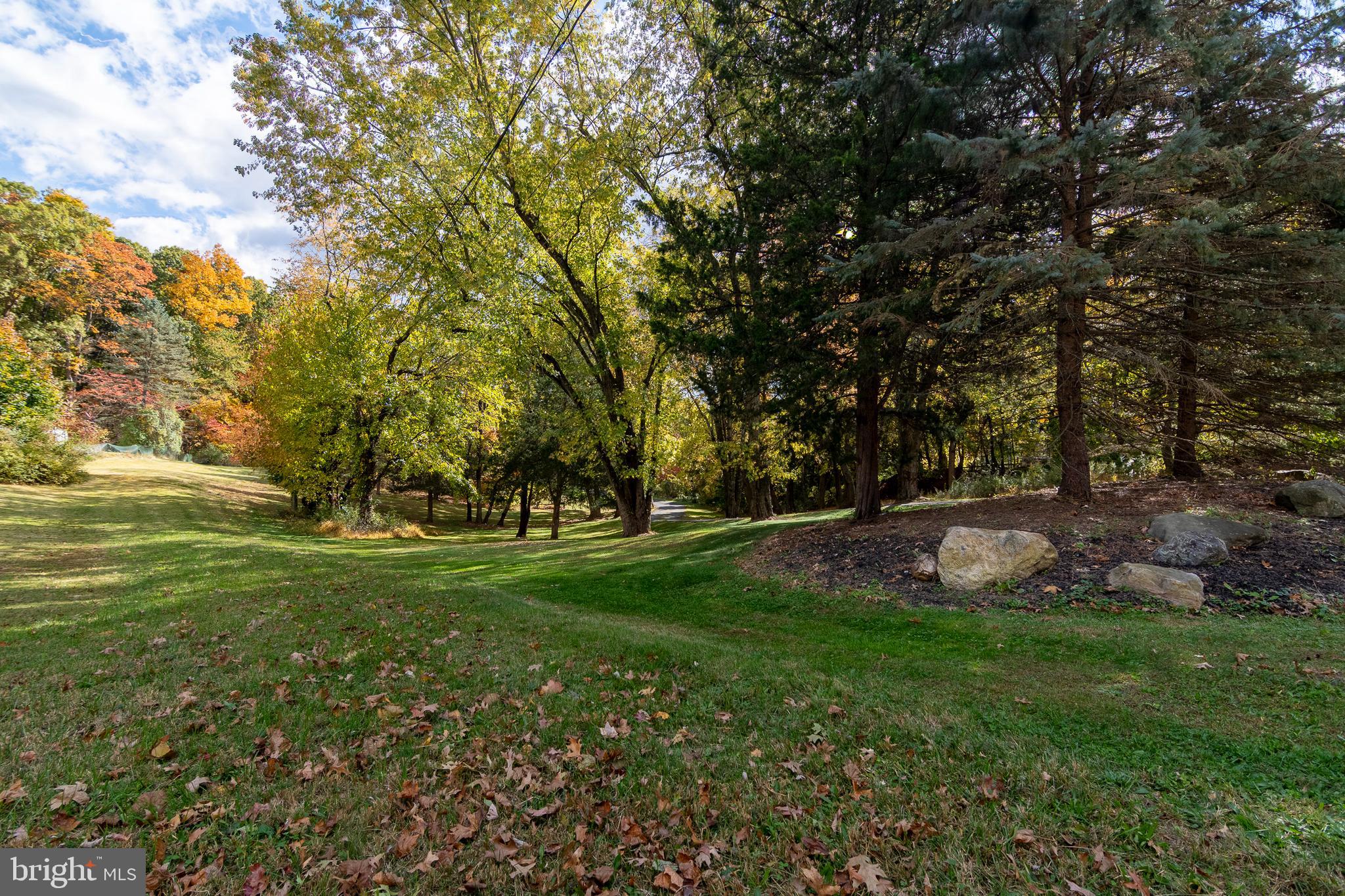 9 Wayside Lane Lebanon, NJ 08833 - Photo 6 of 41 Mature Landscaping