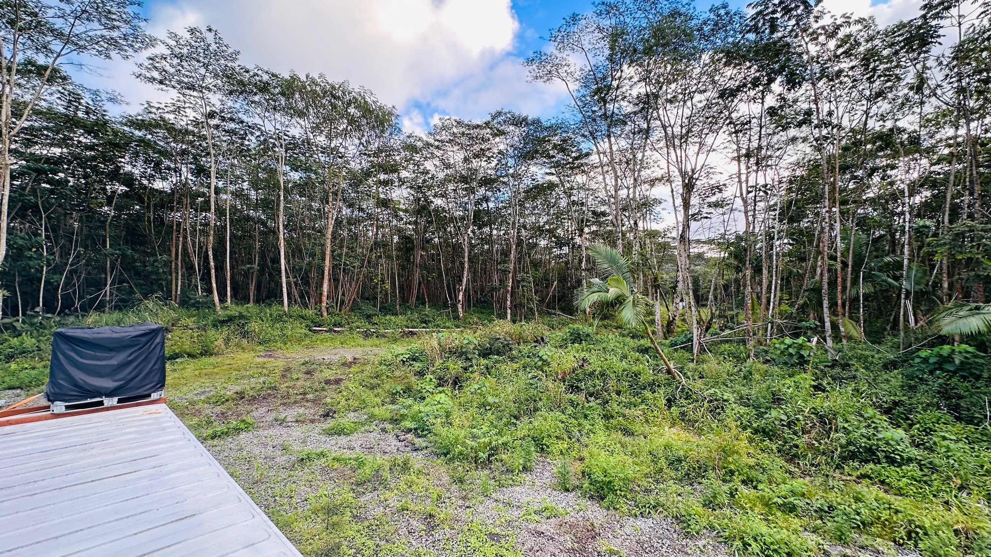 9 Kapoho Road Pahoa, HI 96778 - Photo 4 of 17 a view of a backyard with potted plants and large trees