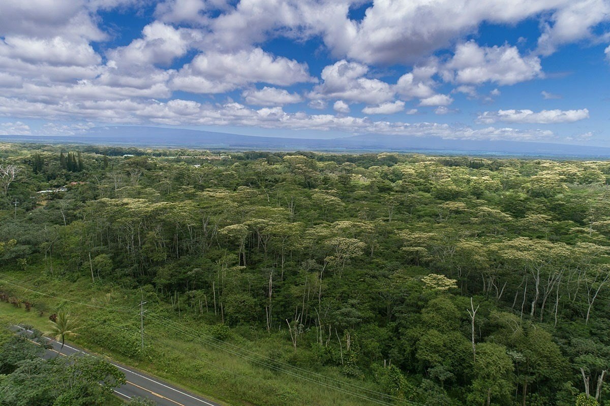 9 Kapoho Road Pahoa, HI 96778 - Photo 5 of 17 a view of a yard