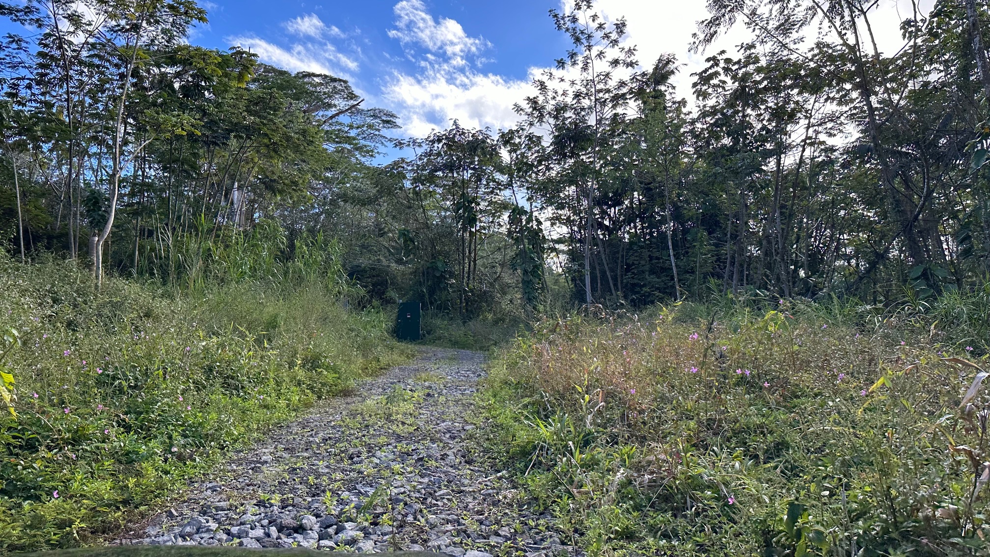 9 Kapoho Road Pahoa, HI 96778 - Photo 6 of 17 a view of a green field with lots of bushes