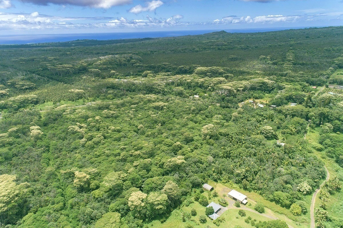 9 Kapoho Road Pahoa, HI 96778 - Photo 8 of 17 a view of a field of grass and a building