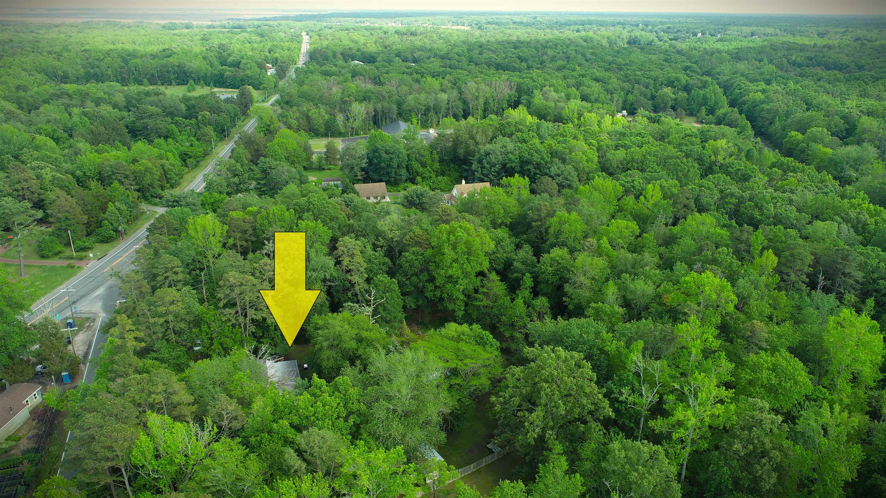 104 Head Of River Road Corbin City, NJ 08270 - Photo 3 of 50 a view of a green field with lots of bushes