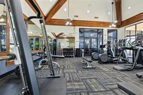5603 Blazing Star Road Frisco, TX 75036 - Photo 39 of 39 a view of a room with gym equipment