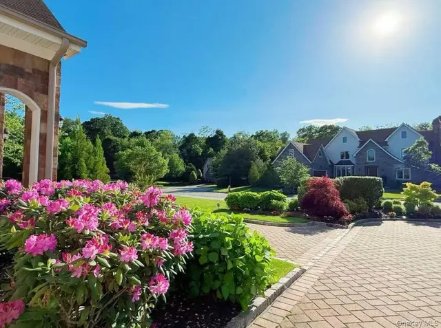 a view of a garden with flower plants