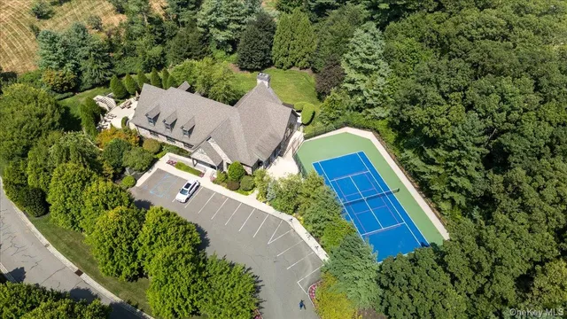 a view of a yard in a backyard