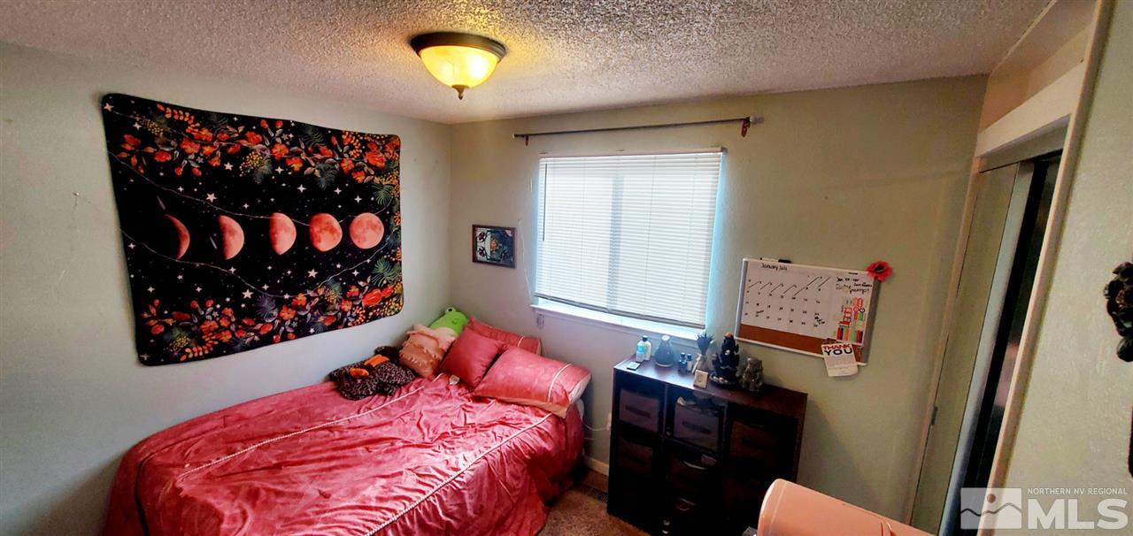 14095 Kernite Street Reno, NV 89506 - Photo 6 of 13 a bed room with a bed window and a television