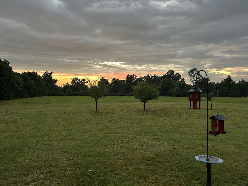 214 VZ County Road Ben Wheeler, TX 75754 - Photo 27 of 28