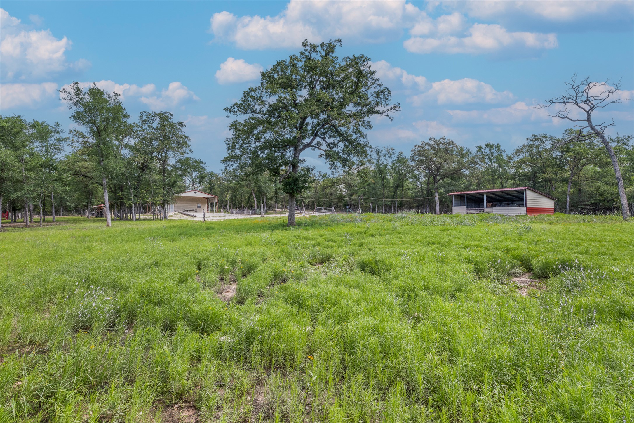 7132 Serenity Ranch Road Somerville, TX 77879 - Photo 12 of 27