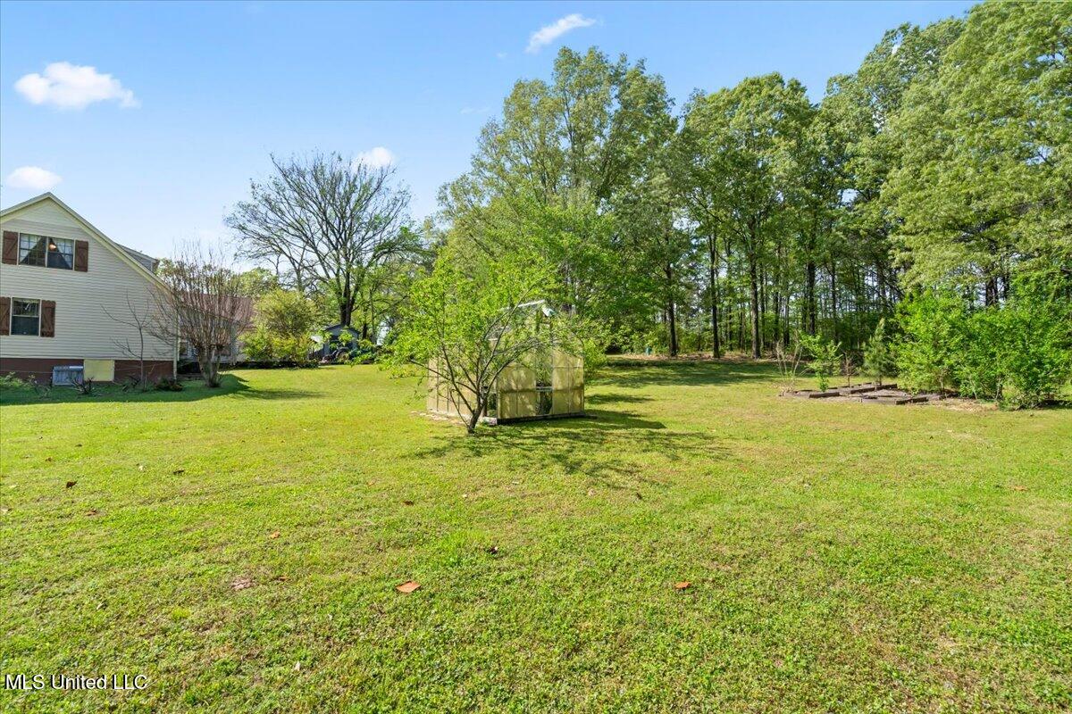 29 Forest Hill Road Byhalia, MS 38611 - Photo 20 of 22 Backyard
